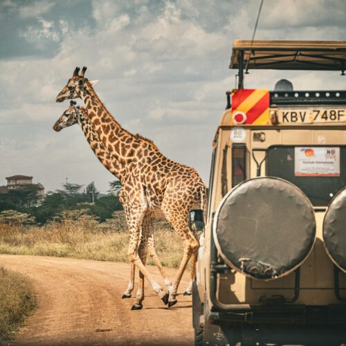 5 Day Kruger – Tented Adventure